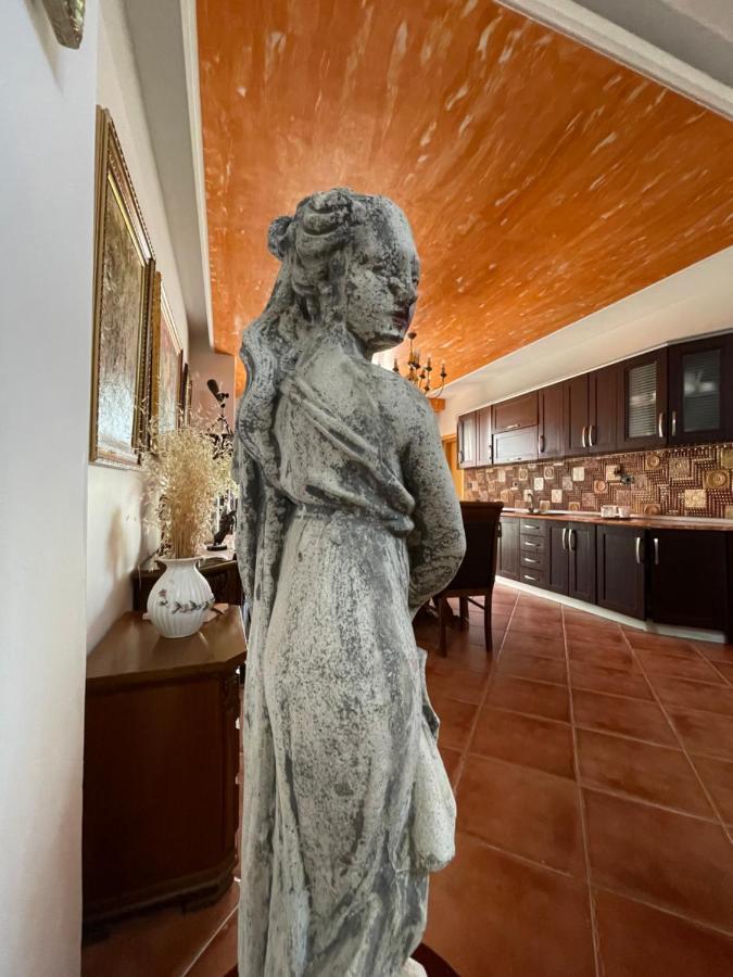 Venus - Cozy Apt With Terrace Vlorë Exteriér fotografie